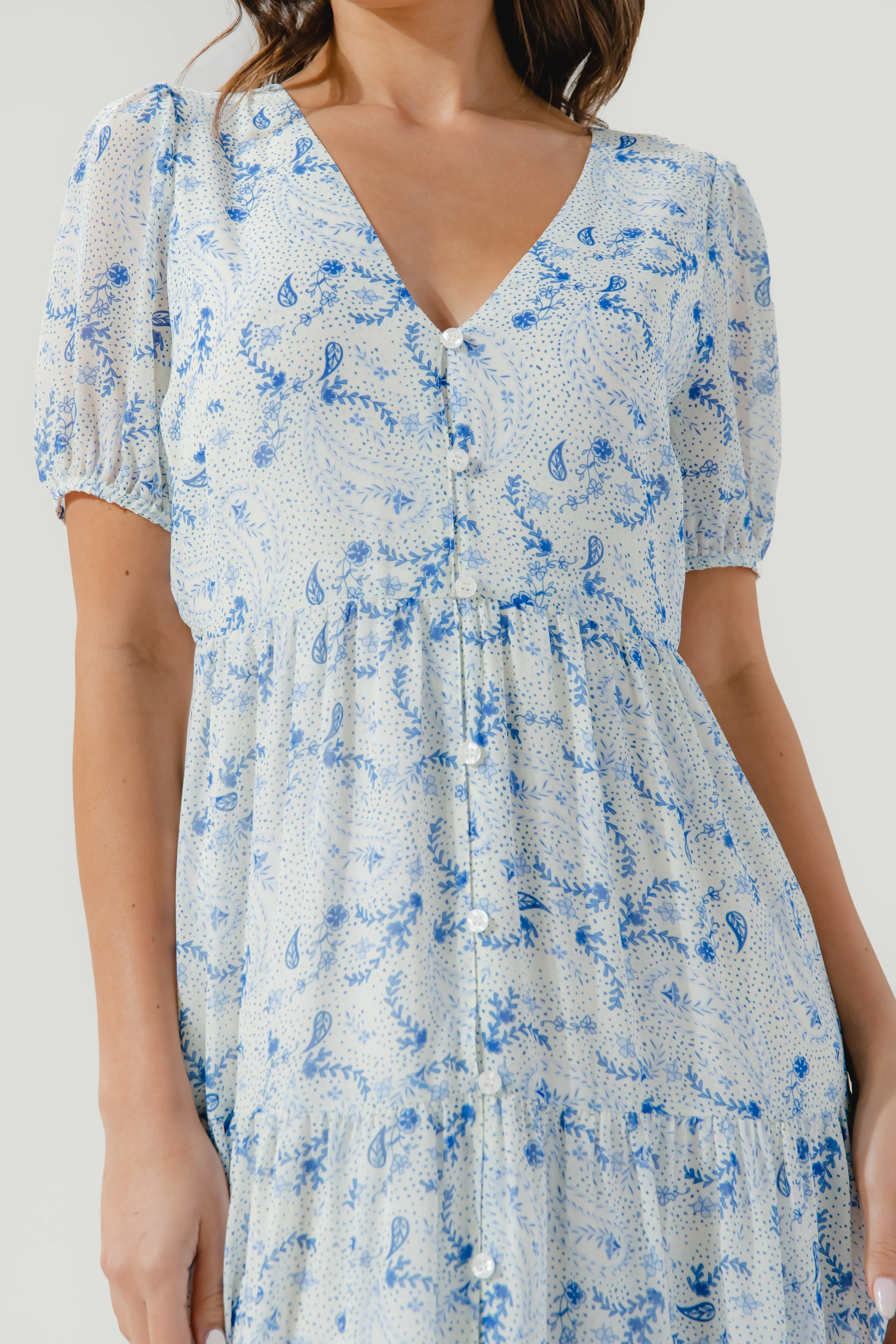 Corinna Paisley Maxi Dress